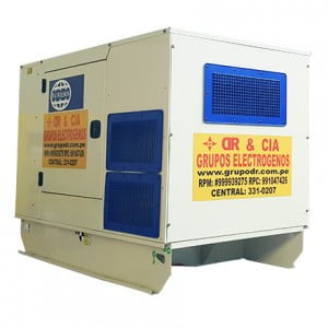 Grupos Electrógenos 30 kw